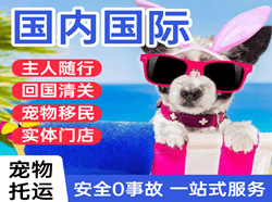 常德桃花源航空快递国际宠物托运 【国